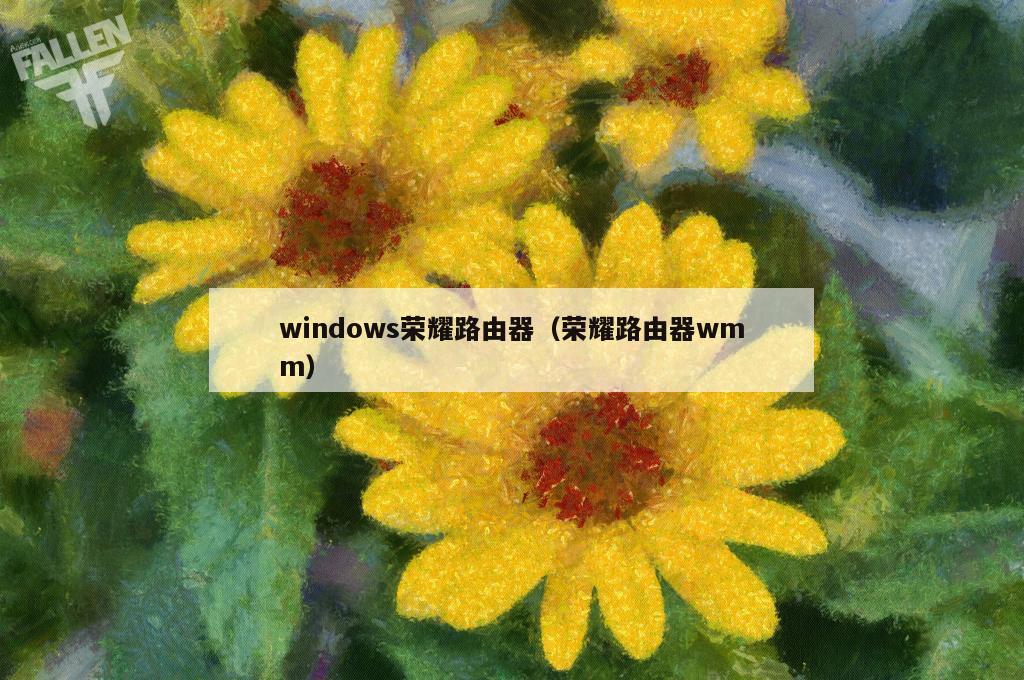 windows荣耀路由器（荣耀路由器wmm）