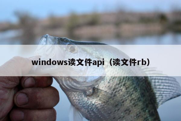 windows读文件api（读文件rb）