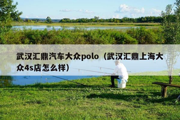 武汉汇鼎汽车大众polo（武汉汇鼎上海大众4s店怎么样）