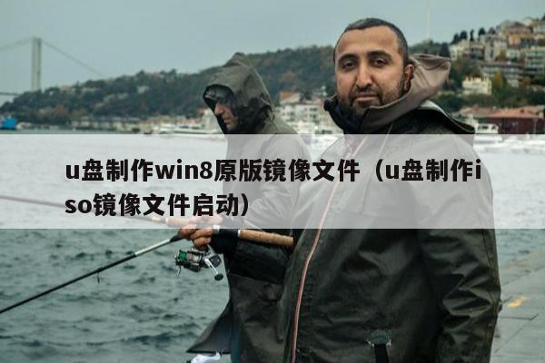 u盘制作win8原版镜像文件（u盘制作iso镜像文件启动）