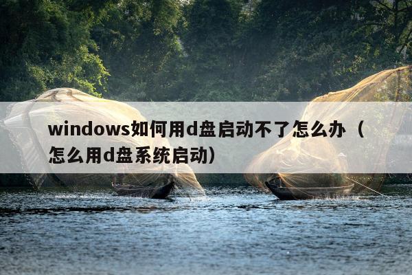 windows如何用d盘启动不了怎么办（怎么用d盘系统启动）