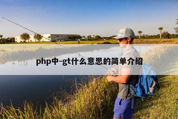 php中-gt什么意思的简单介绍