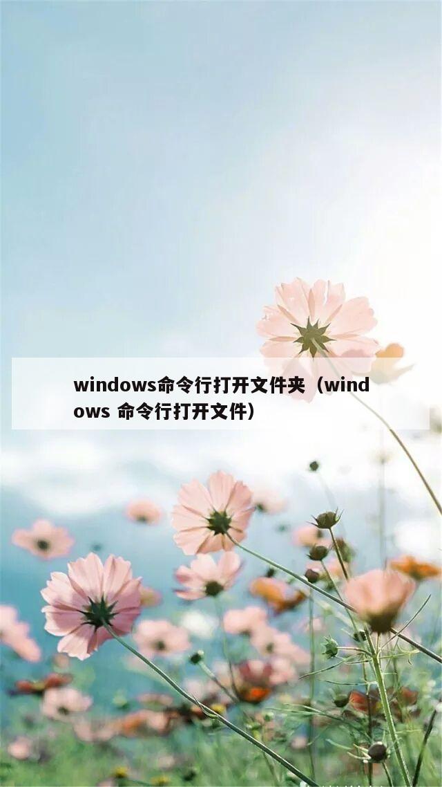 windows命令行打开文件夹（windows 命令行打开文件）