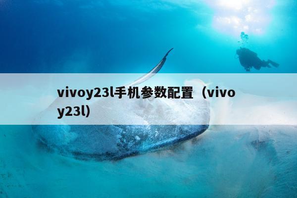 vivoy23l手机参数配置（vivo y23l）