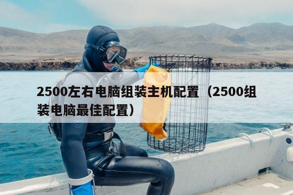 2500左右电脑组装主机配置（2500组装电脑最佳配置）