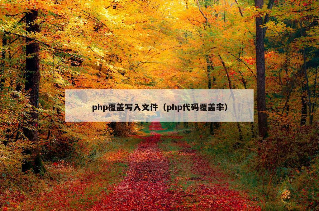 php覆盖写入文件（php代码覆盖率）