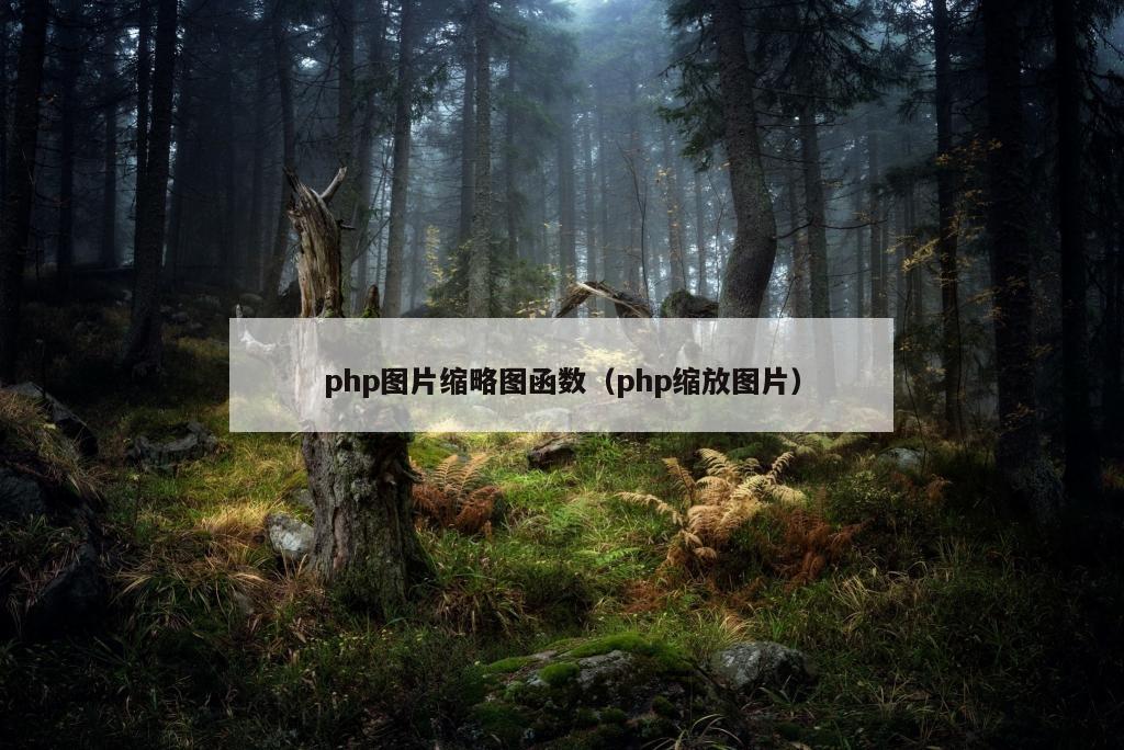 php图片缩略图函数（php缩放图片）