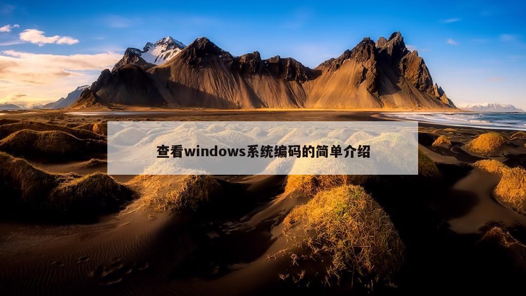 查看windows系统编码的简单介绍