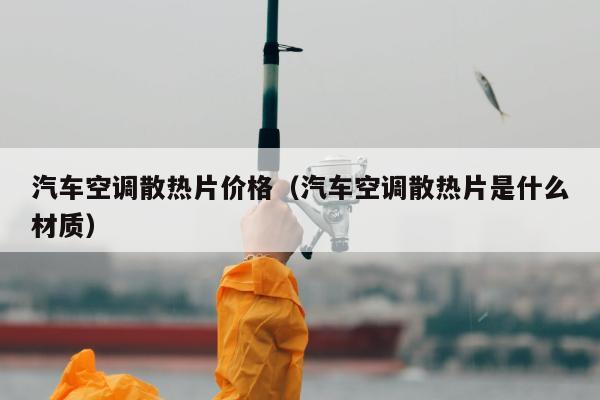 汽车空调散热片价格（汽车空调散热片是什么材质）