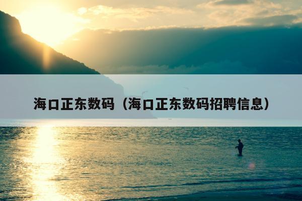 海口正东数码（海口正东数码招聘信息）