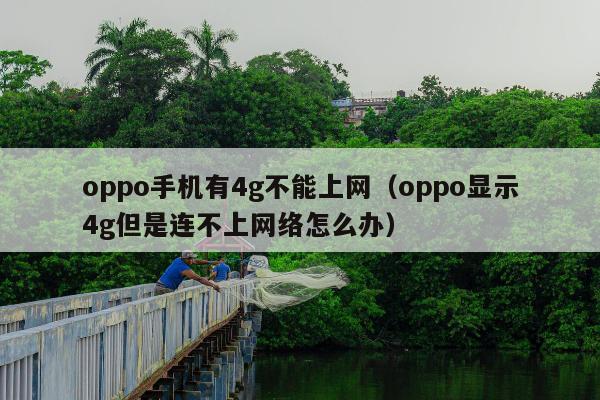 oppo手机有4g不能上网（oppo显示4g但是连不上网络怎么办）