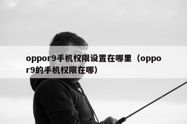 oppor9手机权限设置在哪里（oppor9的手机权限在哪）