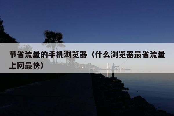 节省流量的手机浏览器（什么浏览器最省流量上网最快）