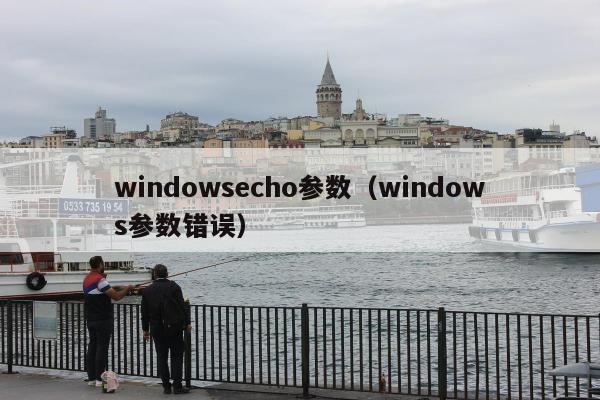 windowsecho参数（windows参数错误）