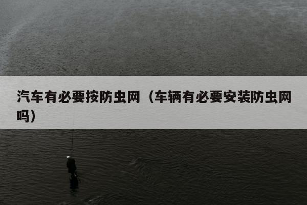 汽车有必要按防虫网（车辆有必要安装防虫网吗）