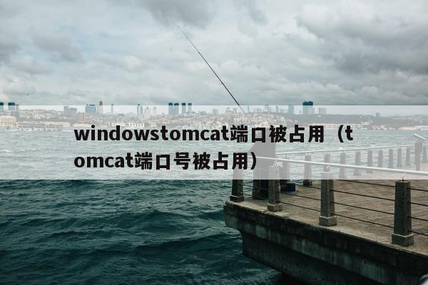 windowstomcat端口被占用（tomcat端口号被占用）