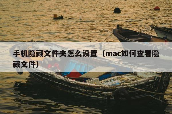 手机隐藏文件夹怎么设置（mac如何查看隐藏文件）