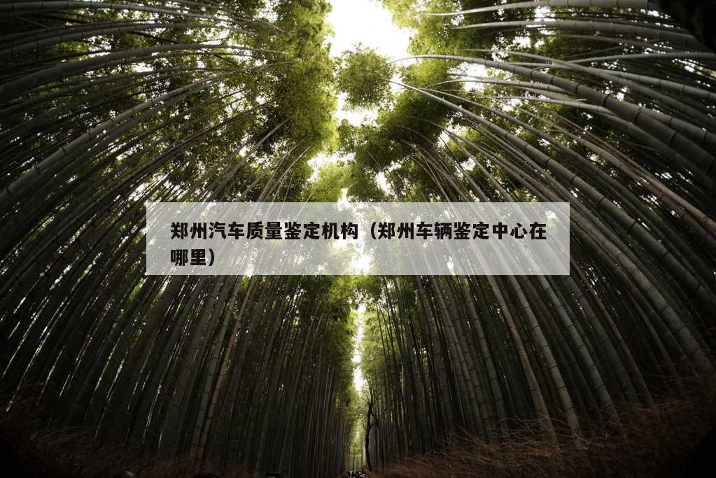 郑州汽车质量鉴定机构（郑州车辆鉴定中心在哪里）