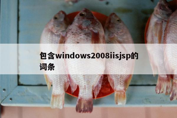 包含windows2008iisjsp的词条