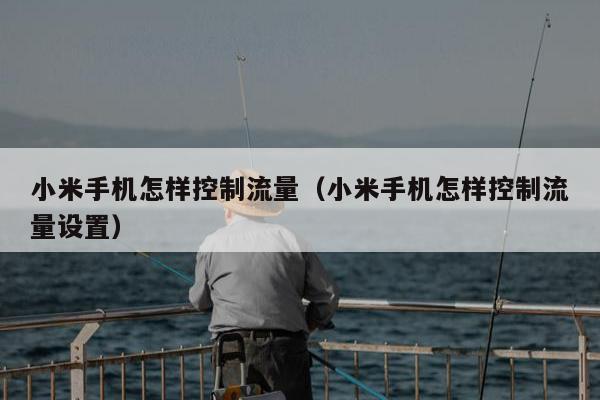 小米手机怎样控制流量（小米手机怎样控制流量设置）