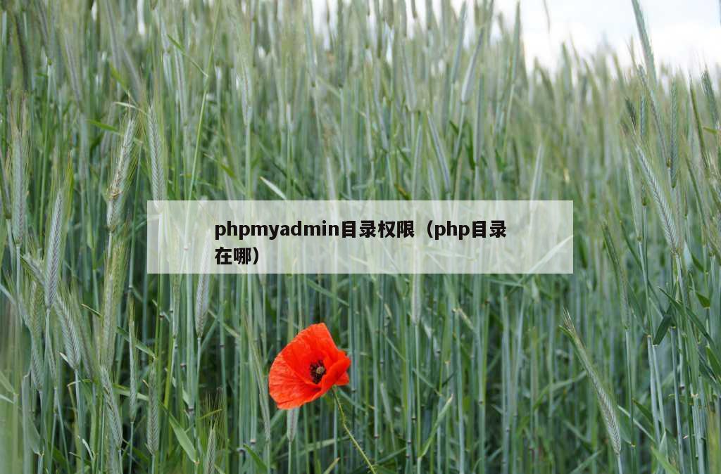 phpmyadmin目录权限（php目录在哪）