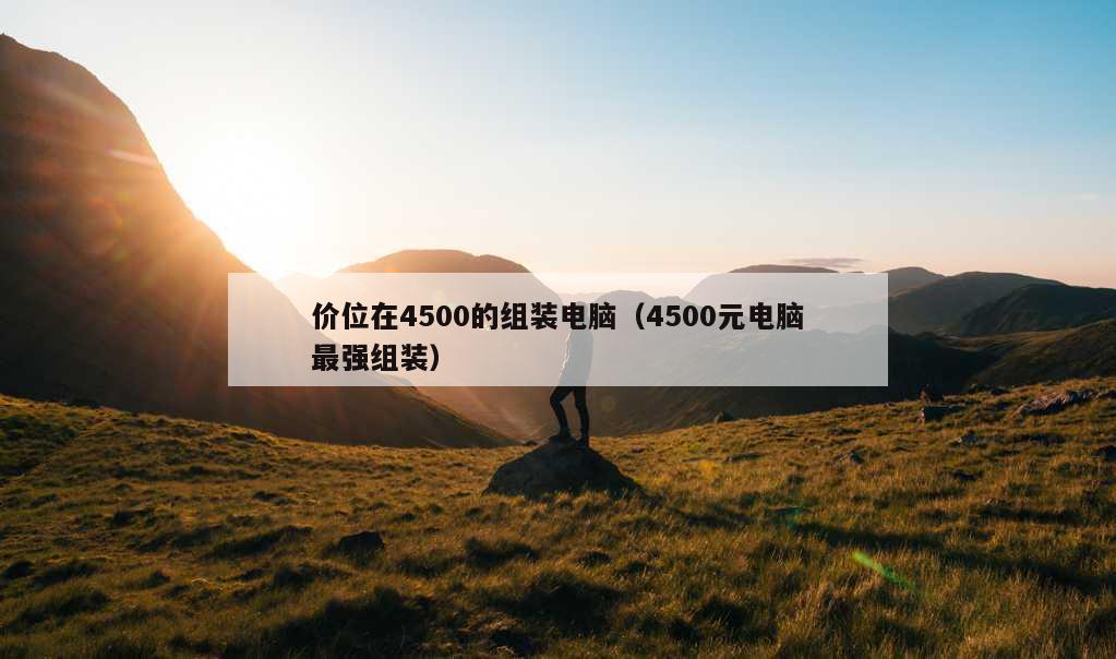 价位在4500的组装电脑（4500元电脑最强组装）