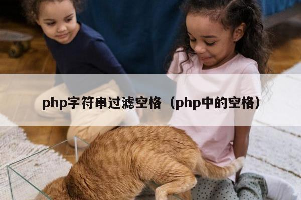 php字符串过滤空格（php中的空格）