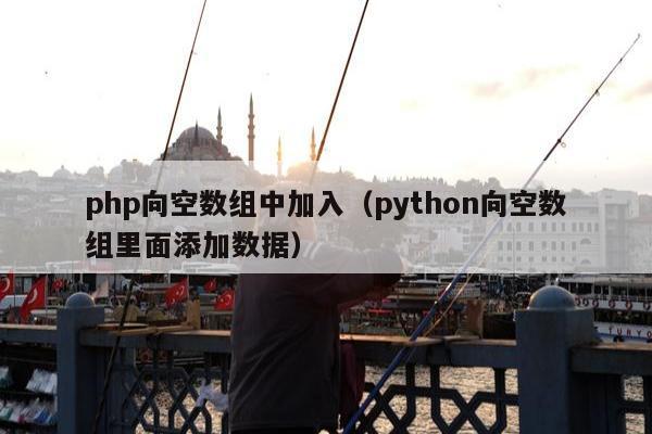 php向空数组中加入（python向空数组里面添加数据）