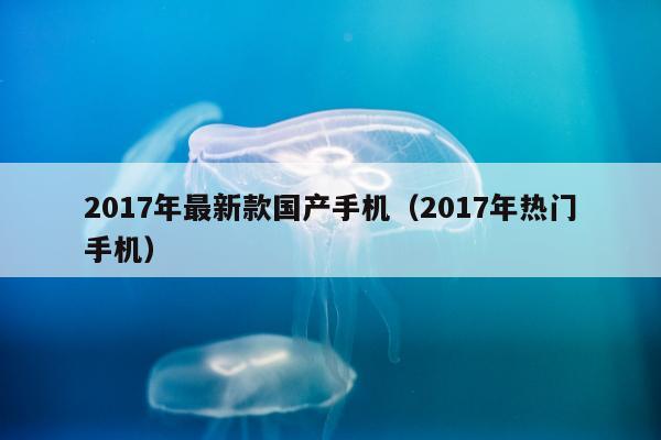 2017年最新款国产手机（2017年热门手机）