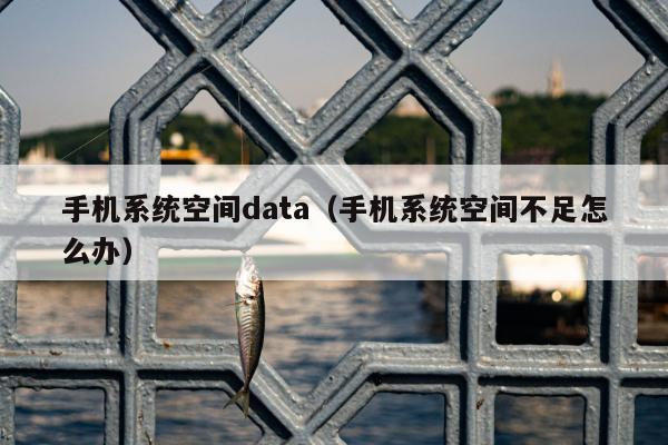 手机系统空间data（手机系统空间不足怎么办）