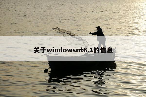 关于windowsnt6.1的信息