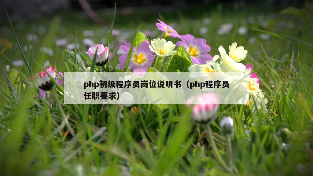 php初级程序员岗位说明书（php程序员任职要求）