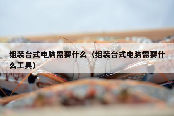 组装台式电脑需要什么（组装台式电脑需要什么工具）