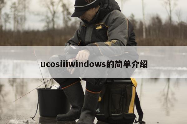 ucosiiiwindows的简单介绍