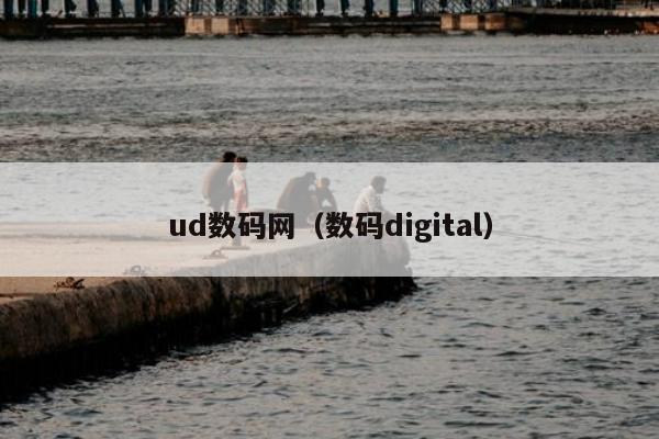 ud数码网（数码digital）