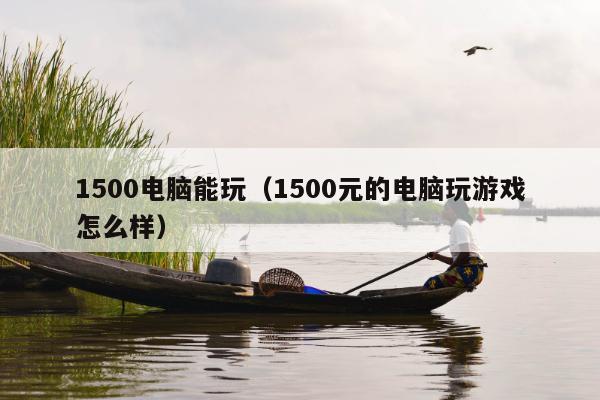 1500电脑能玩（1500元的电脑玩游戏怎么样）