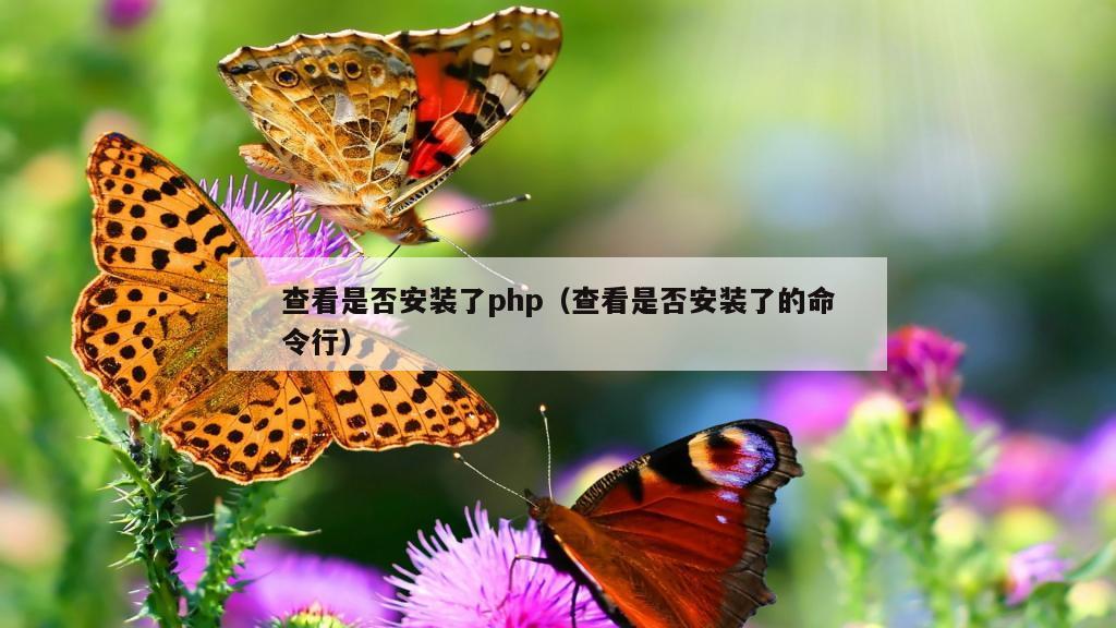 查看是否安装了php（查看是否安装了的命令行）