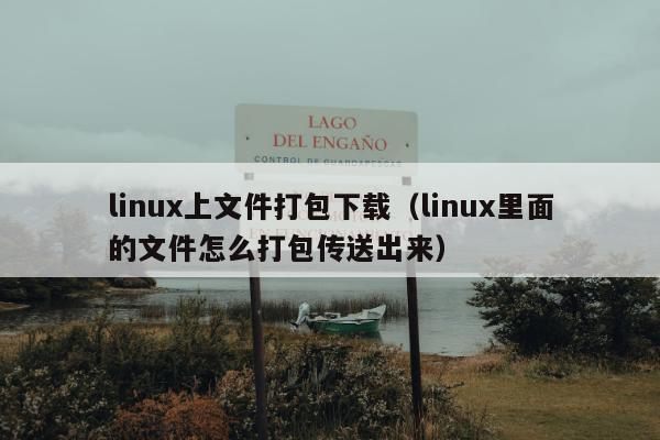 linux上文件打包下载（linux里面的文件怎么打包传送出来）