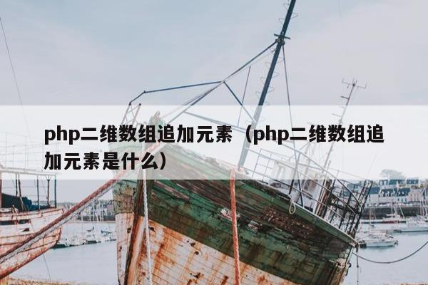 php二维数组追加元素（php二维数组追加元素是什么）