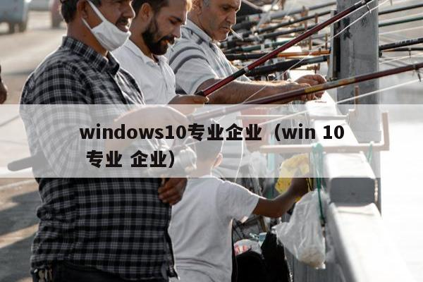 windows10专业企业（win 10 专业 企业）