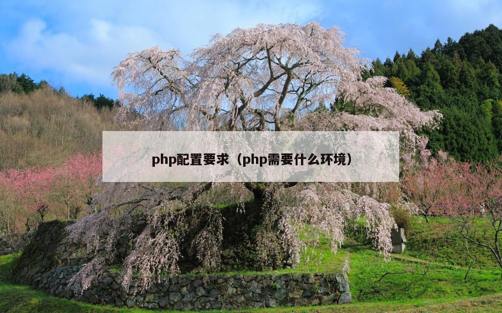 php配置要求（php需要什么环境）