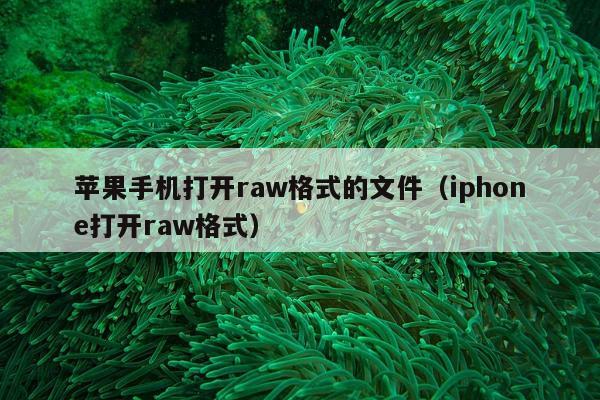 苹果手机打开raw格式的文件（iphone打开raw格式）