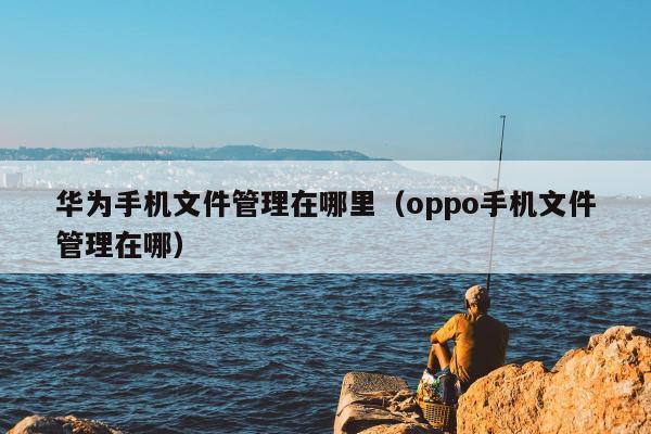 华为手机文件管理在哪里（oppo手机文件管理在哪）