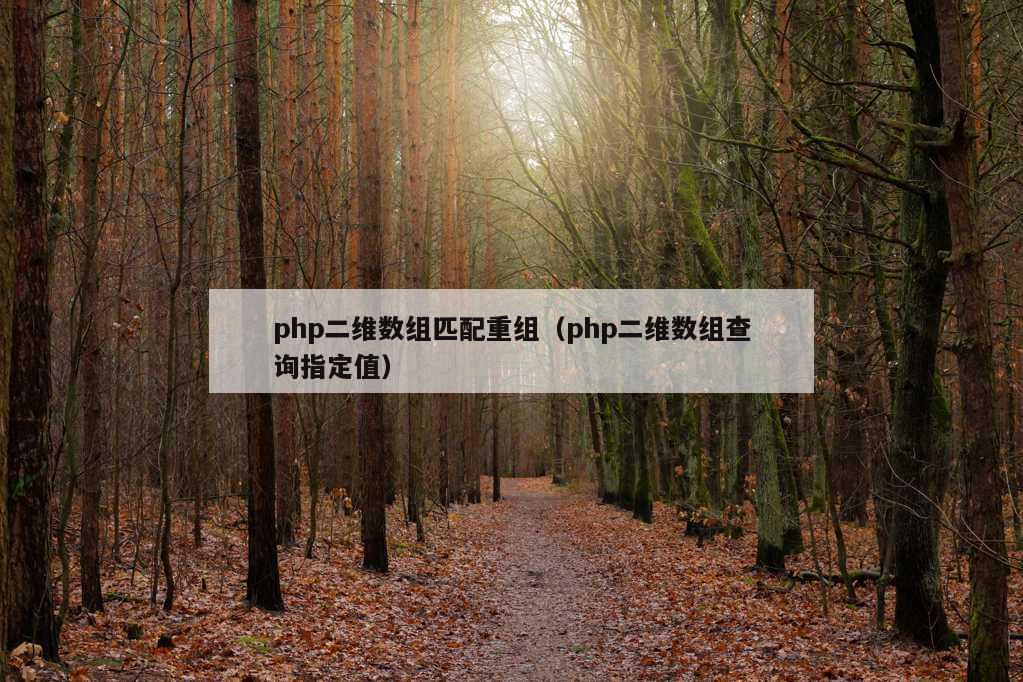 php二维数组匹配重组（php二维数组查询指定值）