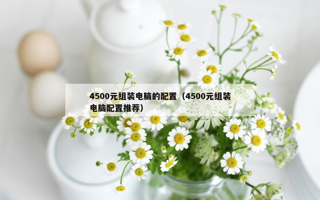 4500元组装电脑的配置（4500元组装电脑配置推荐）