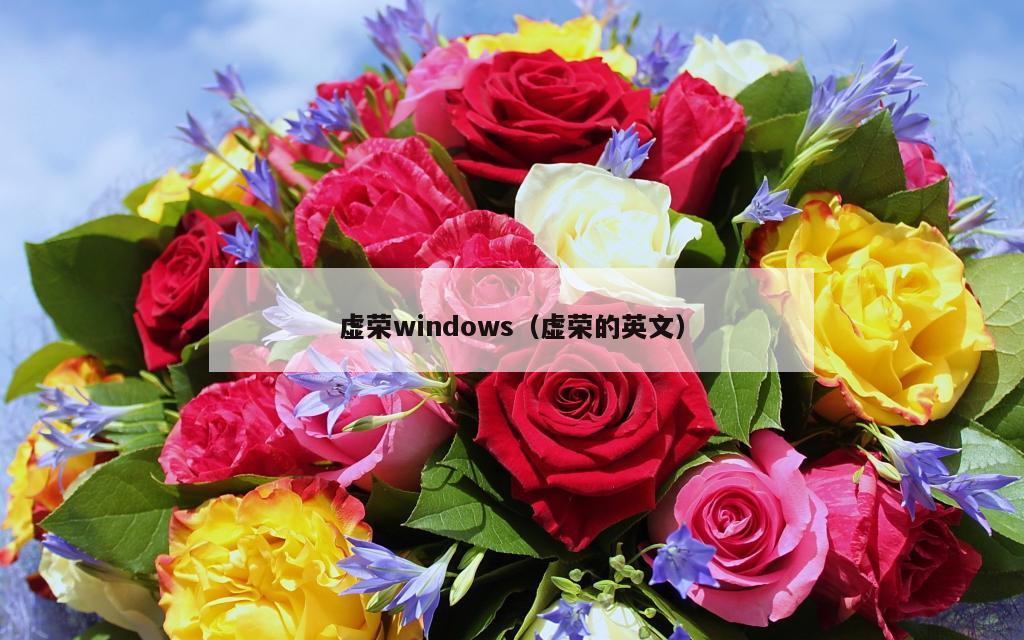 虚荣windows（虚荣的英文）