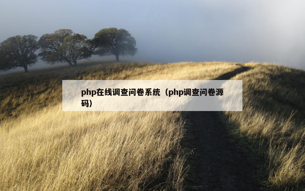 php在线调查问卷系统（php调查问卷源码）