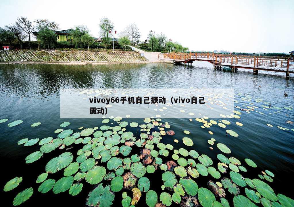 vivoy66手机自己振动（vivo自己震动）