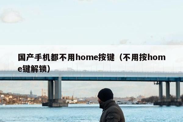 国产手机都不用home按键（不用按home键解锁）