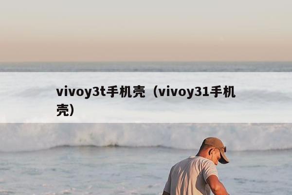 vivoy3t手机壳（vivoy31手机壳）